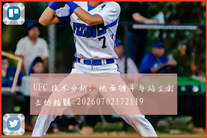 UFC 技术分析：地面缠斗与站立打击的精髓_20260702172119