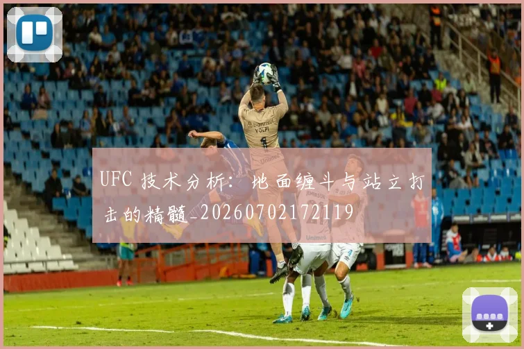 UFC 技术分析：地面缠斗与站立打击的精髓_20260702172119