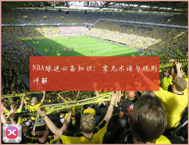 NBA球迷必备知识：常见术语与规则详解