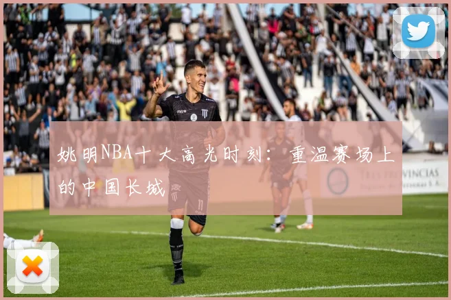 姚明NBA十大高光时刻：重温赛场上的中国长城